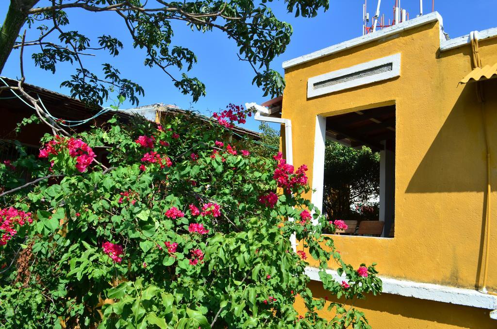 Jardin Etnobotanico Villa Ludovica ซันตามาร์ตา ห้อง รูปภาพ