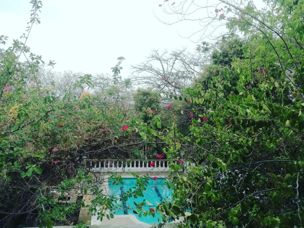 Jardin Etnobotanico Villa Ludovica ซันตามาร์ตา ภายนอก รูปภาพ